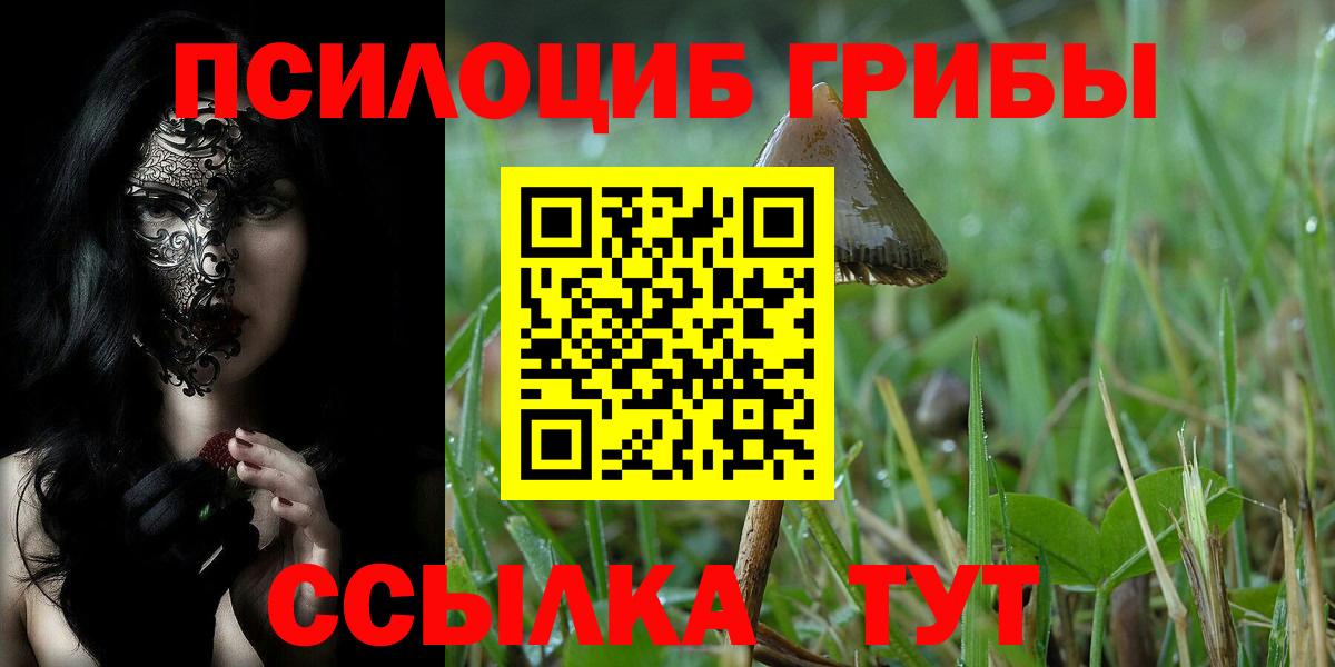 Галлюциногенные грибы Magic Shrooms Киселёвск