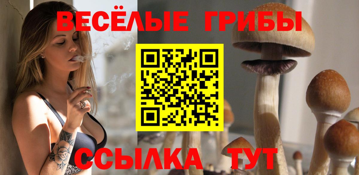 Псилоцибиновые грибы Psilocybine cubensis  где продают   Киселёвск  Вход с VPN 